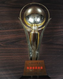 2004年度先进会员企业奖杯