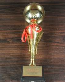 2005年度天津市河西区工商联先进会员企业奖杯