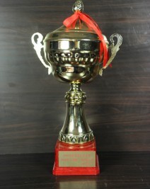 2006年度先进会员企业奖牌