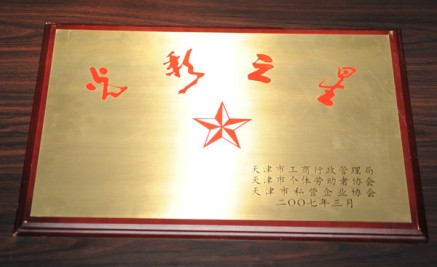 2007年“光彩之星”奖牌